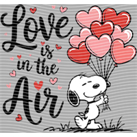 Valentine's Day-QRJ  5555